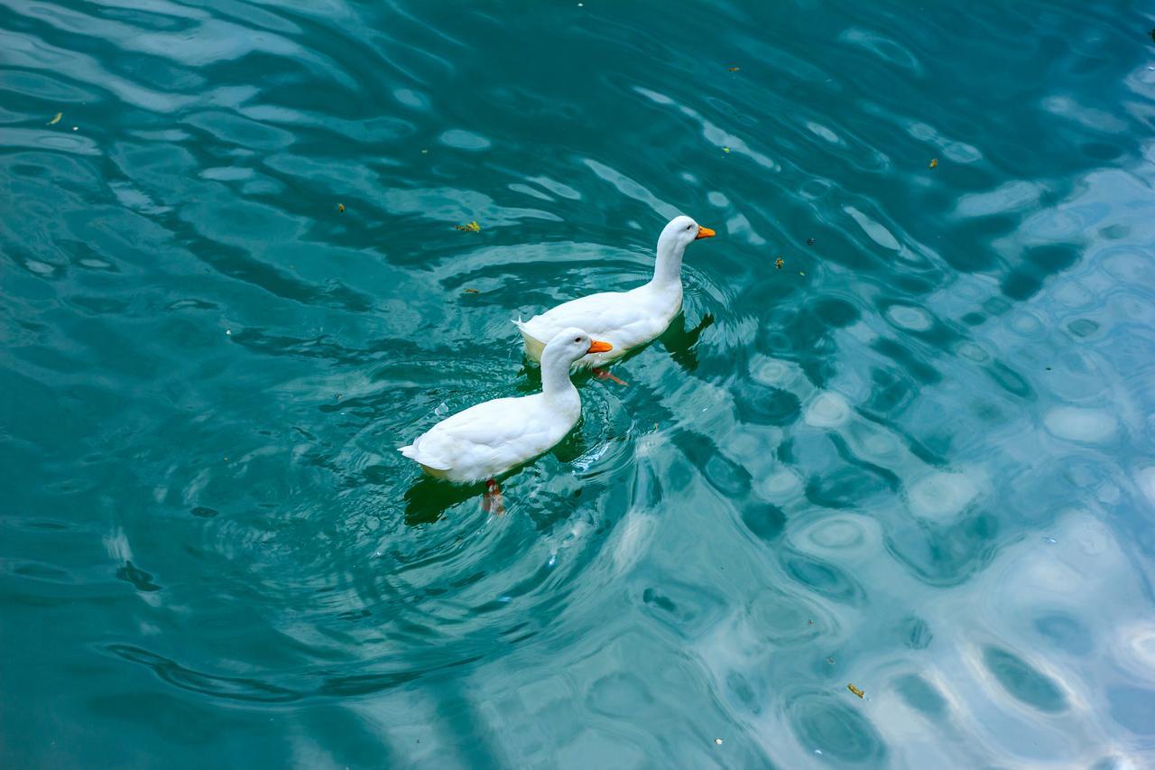 Amiran'S Lake Otel Tiflis Dış mekan fotoğraf